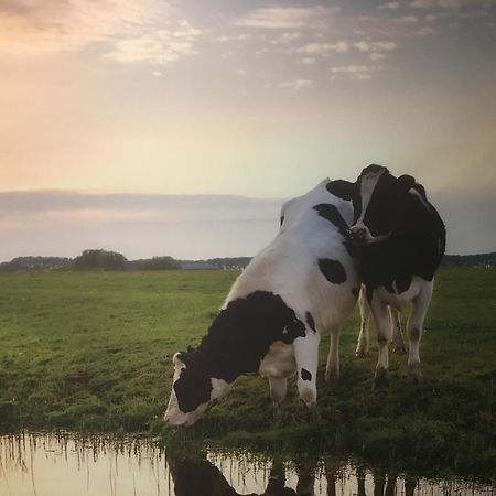 Ferienwohnung Amsterdam Countryside Met Airco ,Geweldig Uitzicht, Luxe Keuken,Wasmachine,Droger,Gratis Fietsen Den Ilp Exterior foto