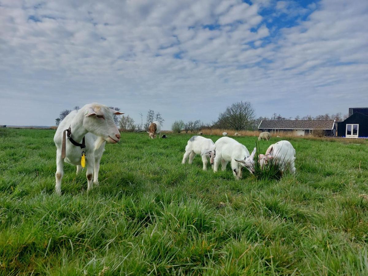 Ferienwohnung Amsterdam Countryside Met Airco ,Geweldig Uitzicht, Luxe Keuken,Wasmachine,Droger,Gratis Fietsen Den Ilp Exterior foto