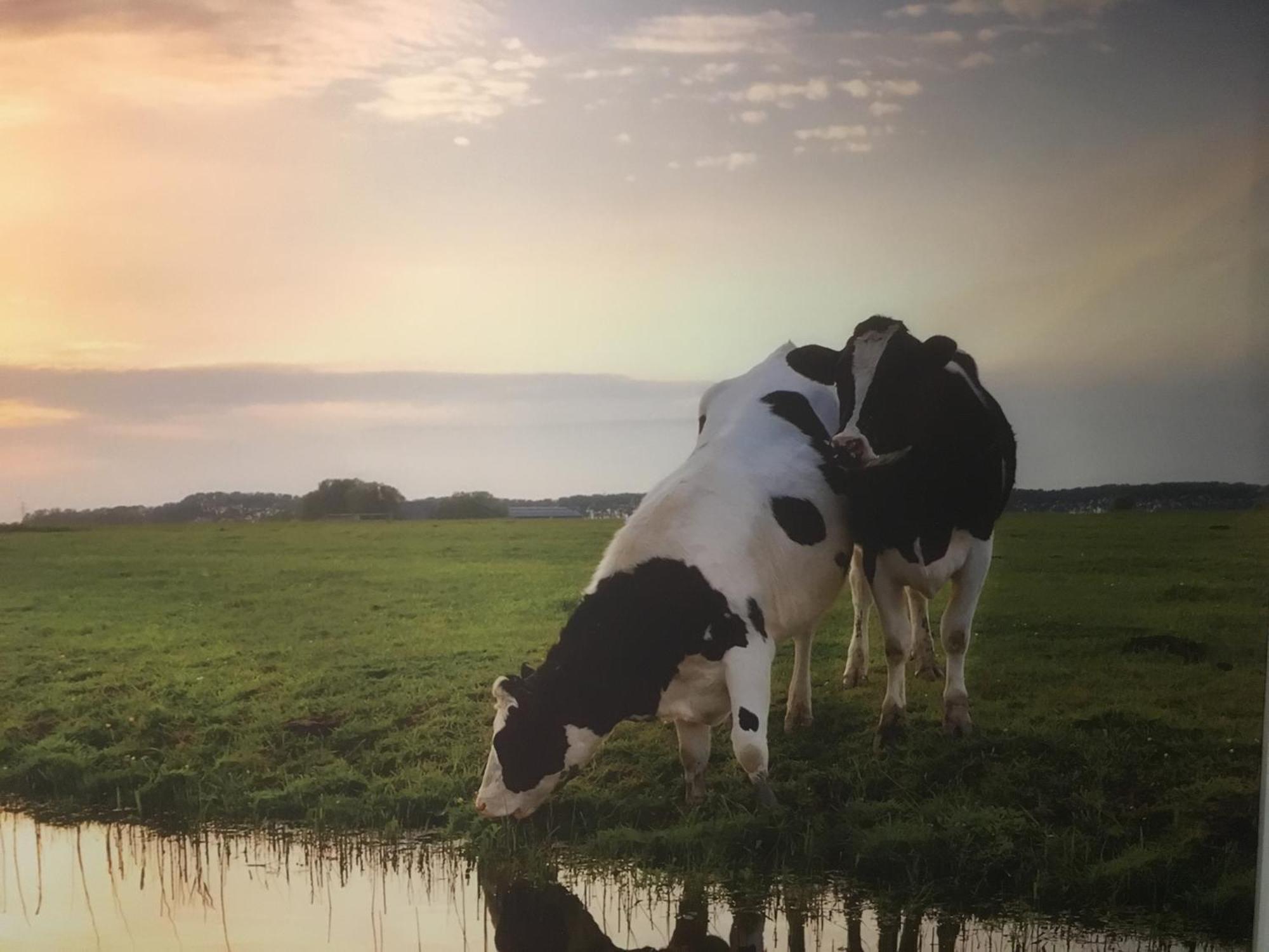 Ferienwohnung Amsterdam Countryside Met Airco ,Geweldig Uitzicht, Luxe Keuken,Wasmachine,Droger,Gratis Fietsen Den Ilp Exterior foto