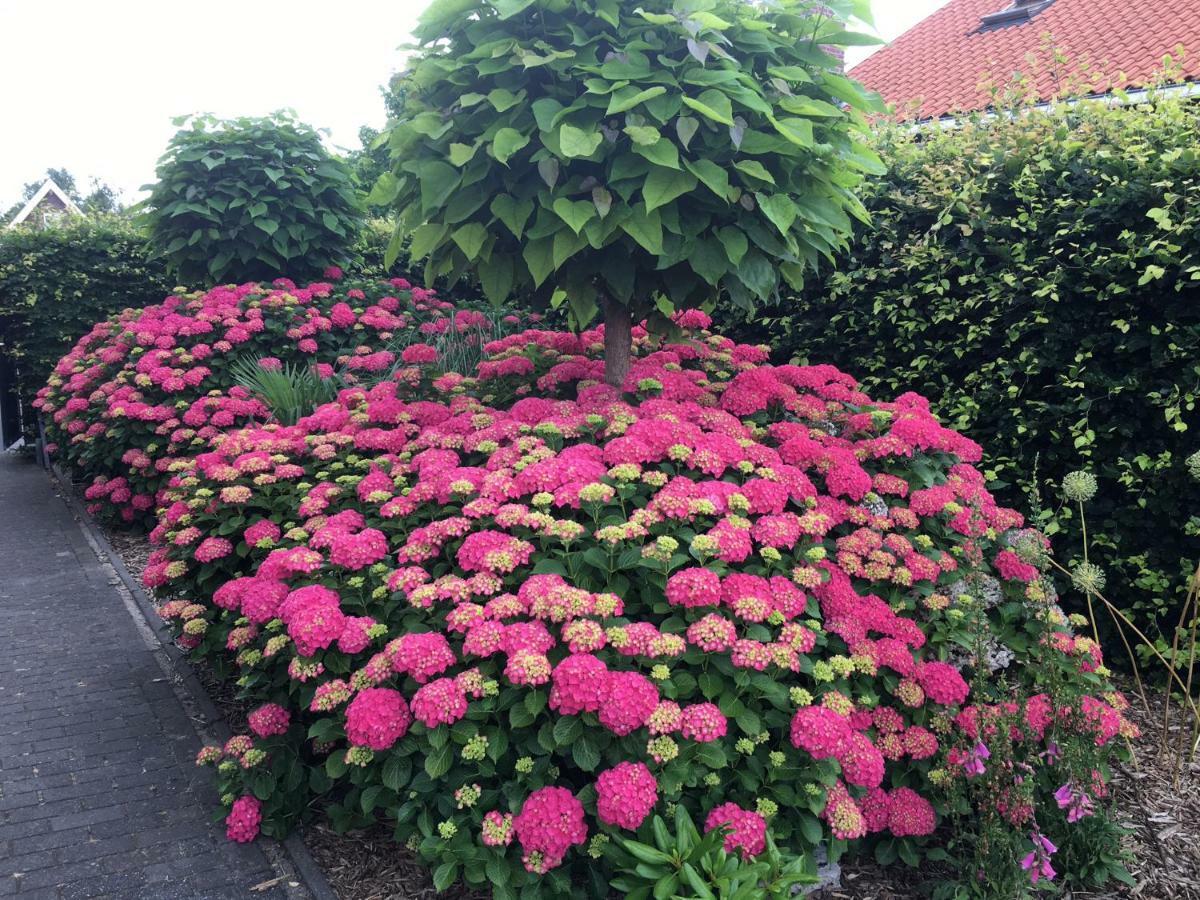 Ferienwohnung Amsterdam Countryside Met Airco ,Geweldig Uitzicht, Luxe Keuken,Wasmachine,Droger,Gratis Fietsen Den Ilp Exterior foto