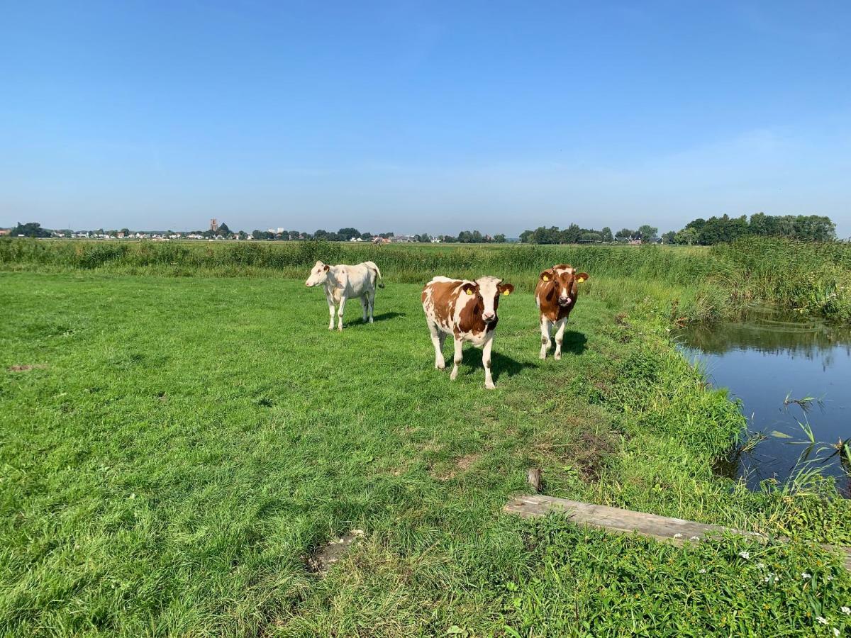 Ferienwohnung Amsterdam Countryside Met Airco ,Geweldig Uitzicht, Luxe Keuken,Wasmachine,Droger,Gratis Fietsen Den Ilp Exterior foto